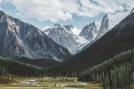 这一波讨论突然炸了，蘑菇视频官网，意外地让人破防，有人看到一半就停不下来了